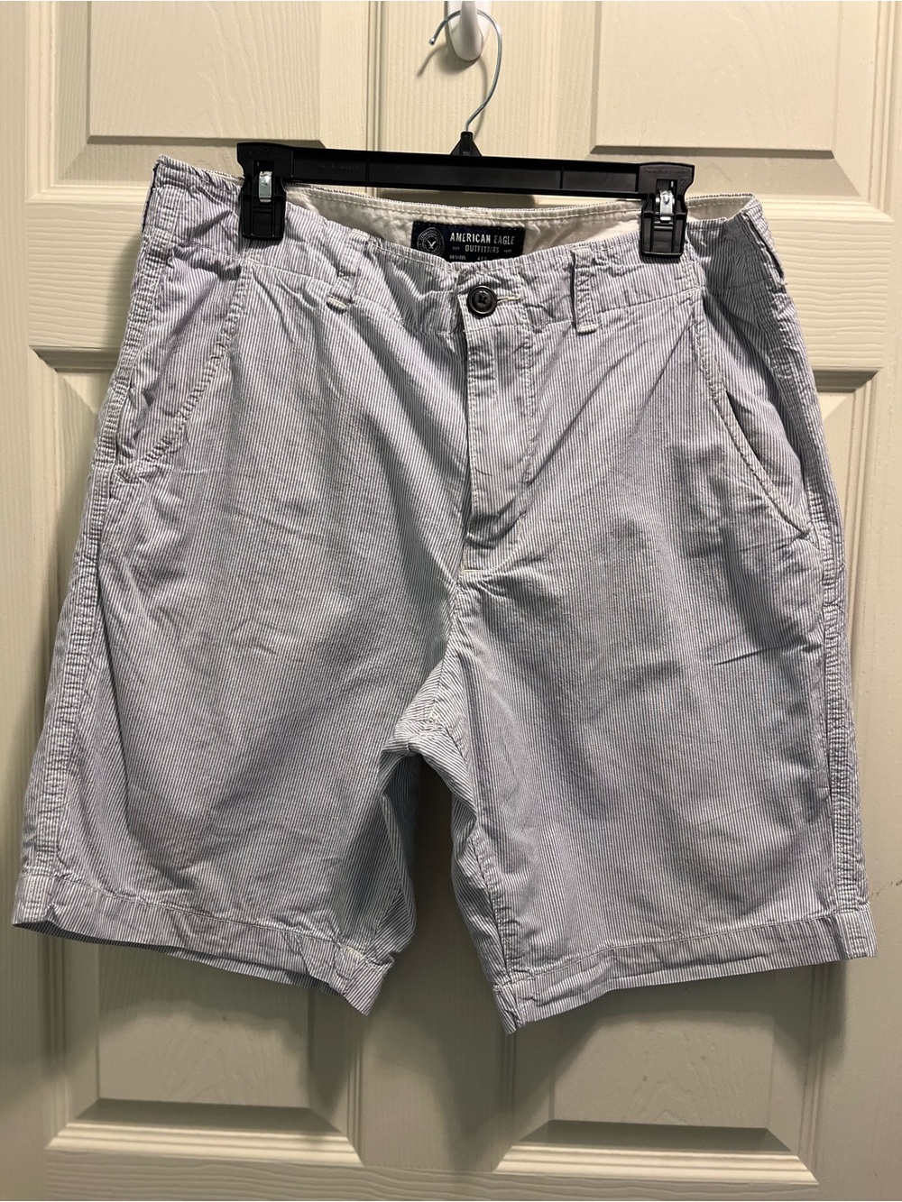 American Eagle Outfitters Blue & White Seersucker Flat Front Men’s Shorts